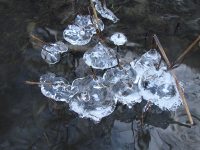 Ice detail